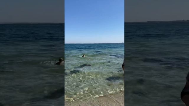 Самое глубокое озеро в Крыму Донузлав #донузлав #крым #крымсейчас #крымскиемальдивы смотреть онлайн