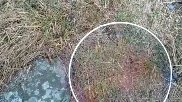 Прогулка со спиннингом по Южному бугу смотреть онлайн