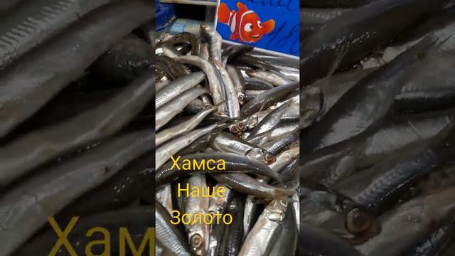 Центральный рынок Ростова-на-Дону смотреть онлайн