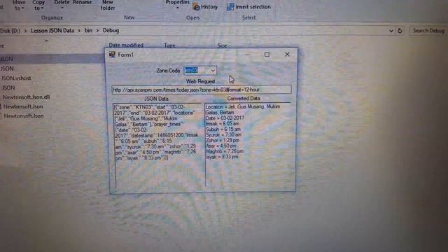 Visual Studio JSON Data смотреть онлайн