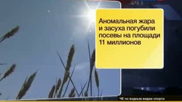 В России вступает в силу запрет на экспорт зерна смотреть онлайн