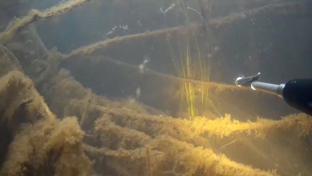 Подводная охота. Щучка в коряжках 2+кг смотреть онлайн