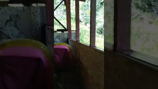WhatsApp Video 2024-06-07 at 21.40.26 смотреть онлайн