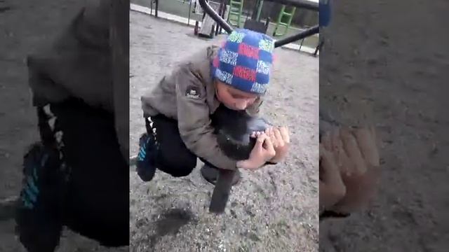Готовим космонавтов в россии. смотреть онлайн