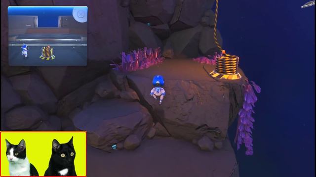 Gatos Luna Y Estrella Jugando Con El Robot De PS5 Y La Araña Laser / Videojuego Con Gatitos