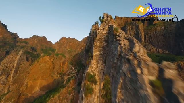 Полная Разгрузка Матрицы! Растворение Реальности До Полной Пустоты! l НИКОШО и Роберт Адамс смотреть онлайн