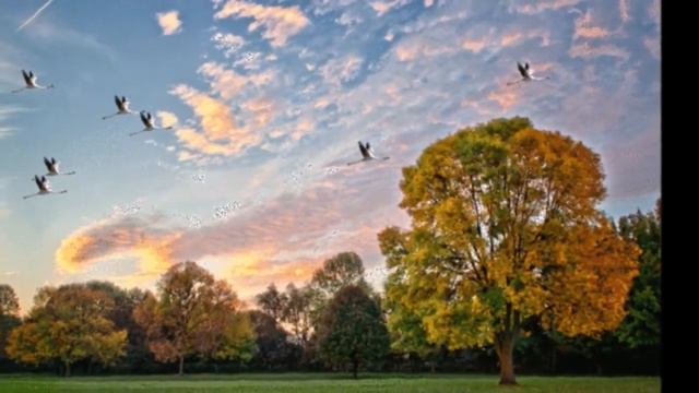 Судьбы перекрёстки смотреть онлайн