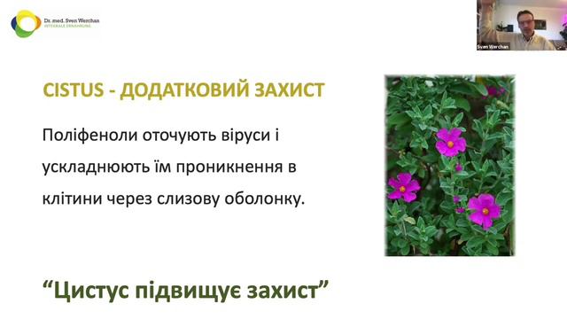 Імунітет з ЛР стає міцнішим і коректнішим: алое імун, цистус і молозиво смотреть онлайн