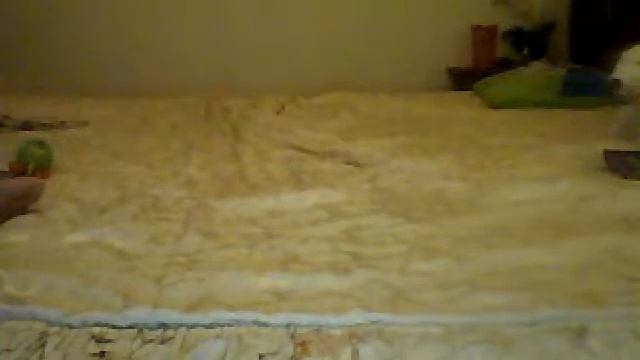 Видео с веб-камеры. Дата: 3 февраля 2013 г., 18:19. смотреть онлайн