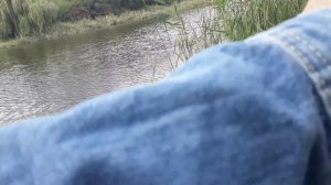 Воблер-квокер.