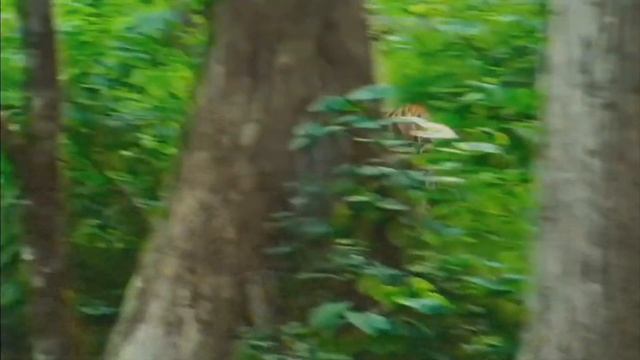 "Россия" Александр Астрильд смотреть онлайн