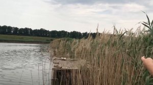 Как ЛОВИТЬ на РЕЗИНКУ! Ловля на Резинку Карпа и Карася!