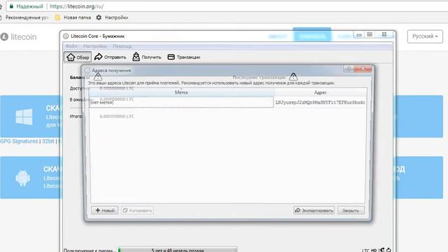 Пошаговая инструкция как создать кошелек Лайткоин (Litecoin)