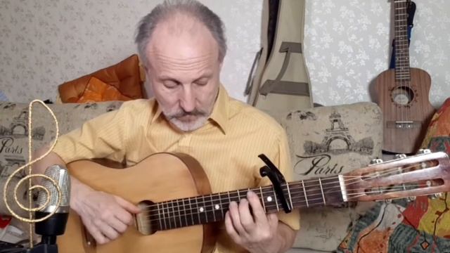 Voyage Voyage, Guitar Cover