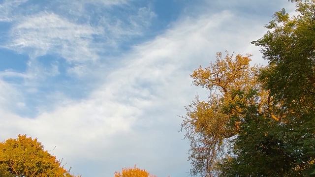 Николаев сегодня. ТОЛЬКО ЧТО! Стало известно. Убытки энергоинфраструктуры миллиарды долларов смотреть онлайн
