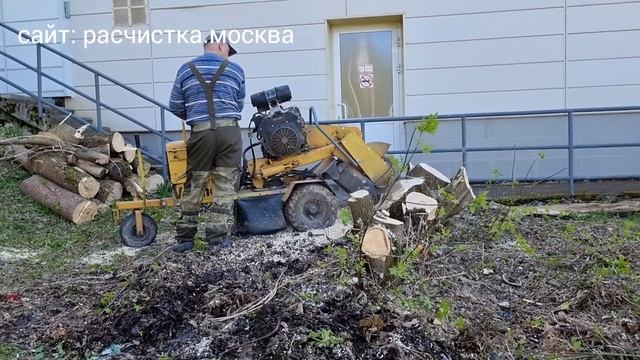 Мы готовы предложить вам профессиональные услуги измельчения пней по конкурентоспособным ценам. смотреть онлайн