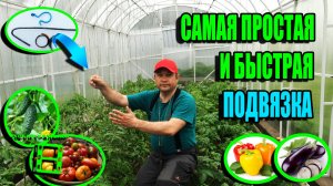 СУПЕР ПОДВЯЗКА ПОМИДОР, ПОДВЯЗКА ОГУРЦОВ, ПЕРЦЕВ И БАКЛАЖАНОВ. ЭКОСАД (ОГОРОД) И ТЕПЛИЦА 22-24