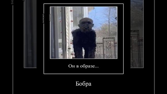 мужчина в образе бобра ? #бобр #мужчина #в #образе #бобра смотреть онлайн