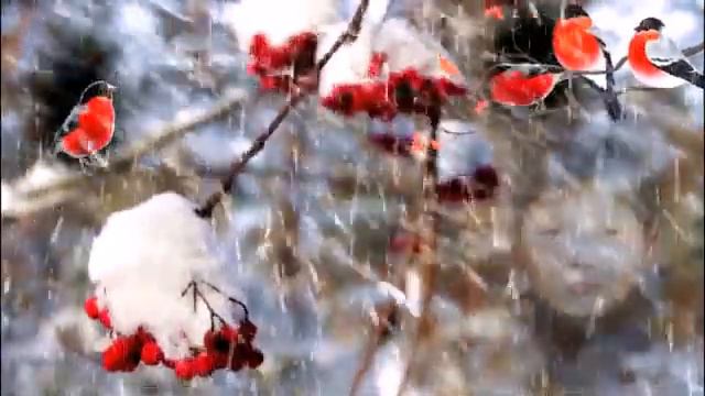 Проект 1 pskpРомАшка Ангел мой Память смотреть онлайн