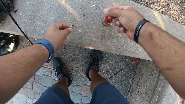 Urban Fishing/Gulp Maggots and Gulp Redworms for Bluegill and Catfish? смотреть онлайн