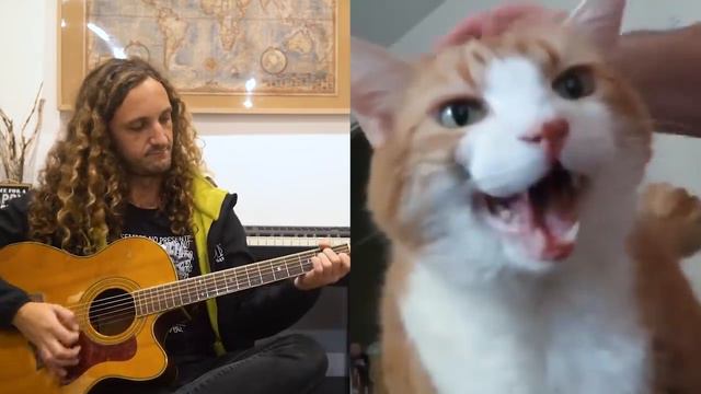 The Good, the Bad & the Ugly, but with Animals смотреть онлайн