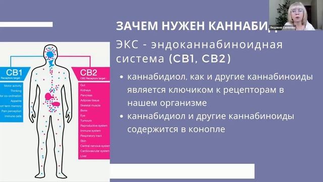 КБД, CBD, каннабидиол   Что это и зачем нужен  13 Min.