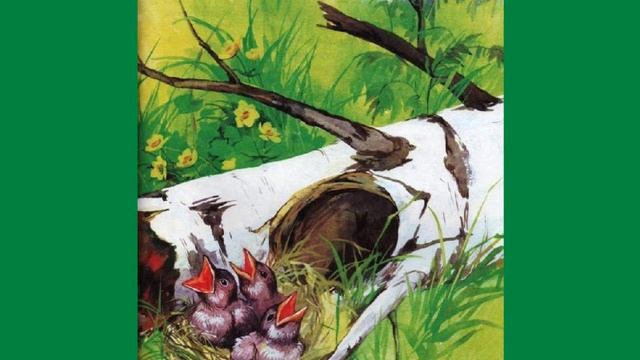 Этажи леса.wmv смотреть онлайн