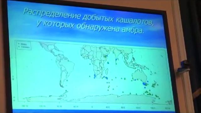 Михалёв Ю А Встречаемость амбры у кашалотов смотреть онлайн