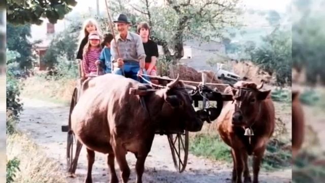 La quinta stagione parole e musica Antonio Vadala', foto E.Mammolito смотреть онлайн