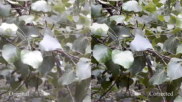Fuji HS25exr Footage Comparison (Raw vs Post-Process) смотреть онлайн
