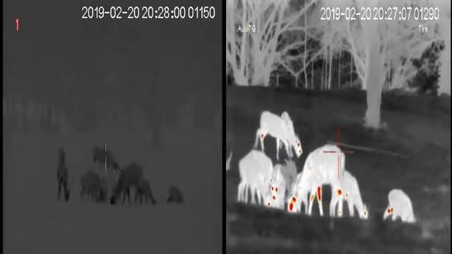 NOCTIS 3Mvs FORTUNA GENERAL ONE 6M смотреть онлайн