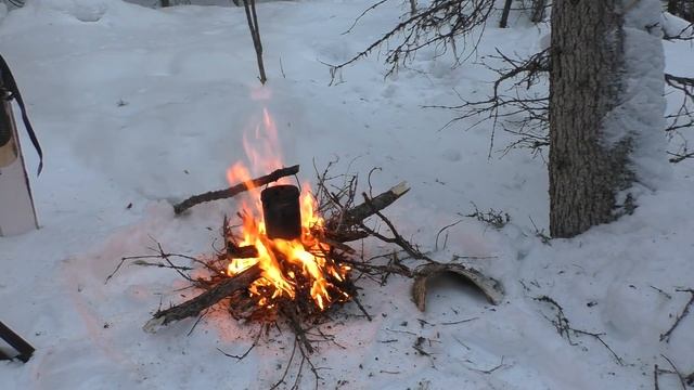 Я ЕЁ ВСЁ РАВНО НАШЁЛ!!! ОХОТА В ТАЙГЕ / ЧАЙ У КОСТРА / ТАЁЖНЫЕ ПРИКЛЮЧЕНИЯ / ПОХОД НА ЛЫЖАХ ЗИМОЙ. смотреть онлайн