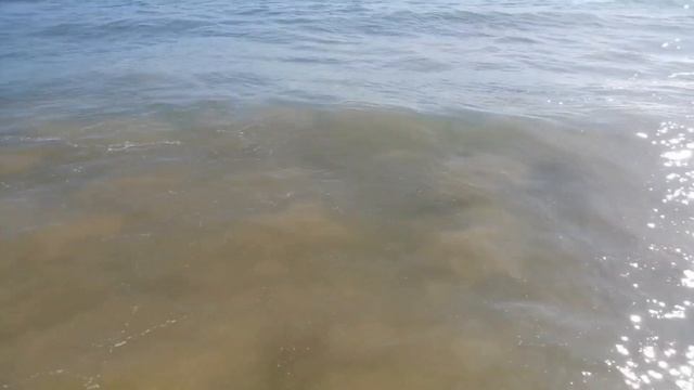 Какой он океан? ОКЕАН МОРЕ ШУМ ОКЕАНА ВОЛНЫ ОКЕАНА смотреть онлайн