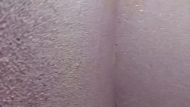 Жидкие обои. Туалет смотреть онлайн