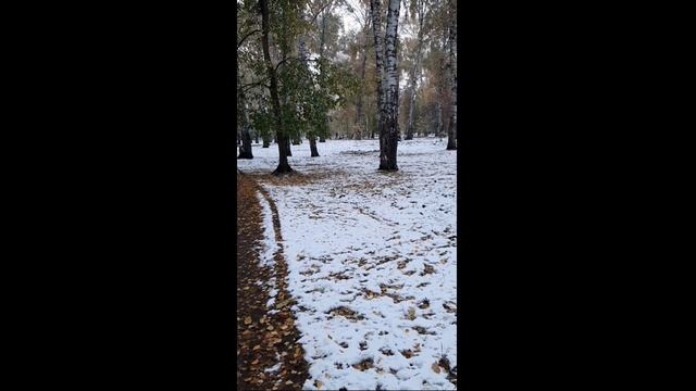 Комментарий Радугимира на вопрос: Как видит нас тонкий мир 29-09-2022 смотреть онлайн