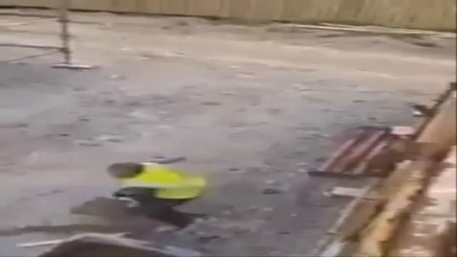 Подборка приколов 2014 #1 смотреть онлайн