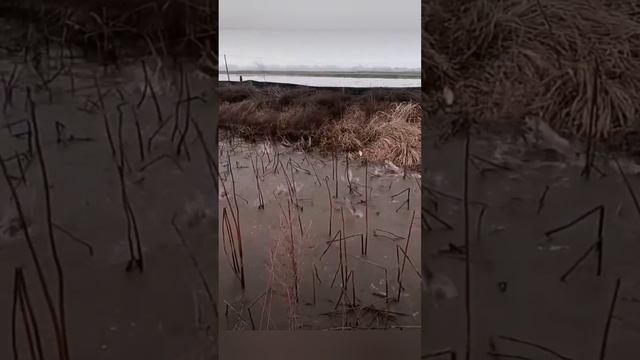 Рыба ? не будет ждать!!! Пора на рыбалку!!? смотреть онлайн