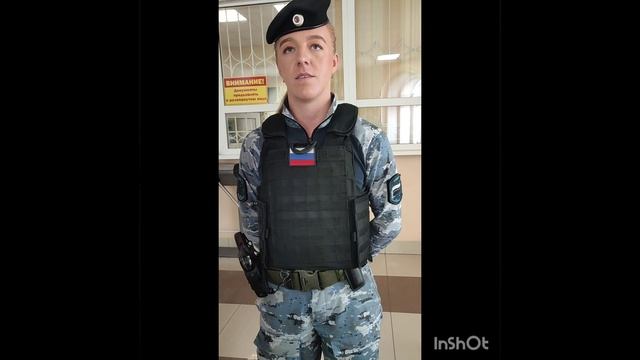 приставы. осмотр, досмотр.. всё едино