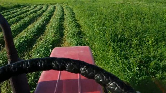 СЕНОКОС 2019,КОСИМ ЛЮЦЕРНУ ТРАКТОРОМ Т-25/SENOKOS 2019, TRACTOR T-25 смотреть онлайн