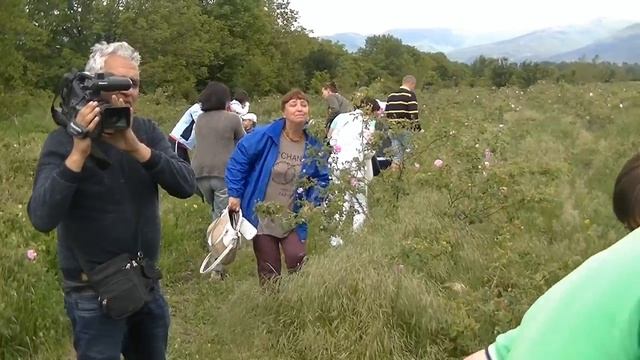 Туры по Болгарии Бургас - Казанлык - Шипка - Етыр смотреть онлайн