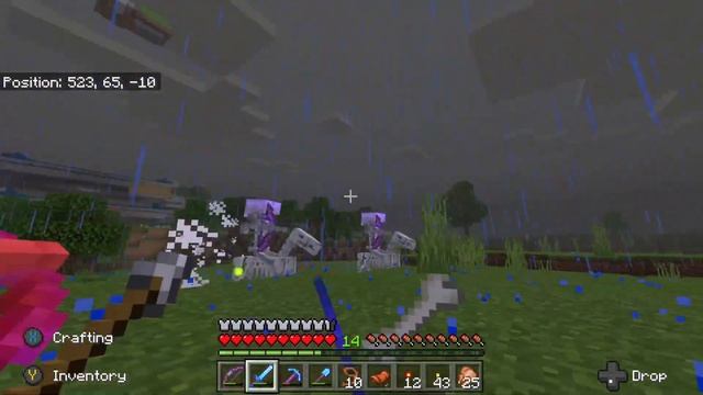 Skeleton Horse In Minecraft: How To