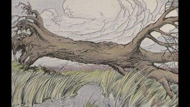 The Oak and The Reeds - Aesop's Fable смотреть онлайн