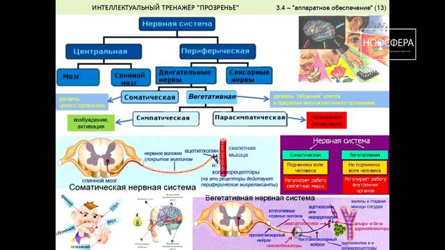 Культурно-развивающий проект Ноосфера. Биология человека. Часть 2. смотреть онлайн