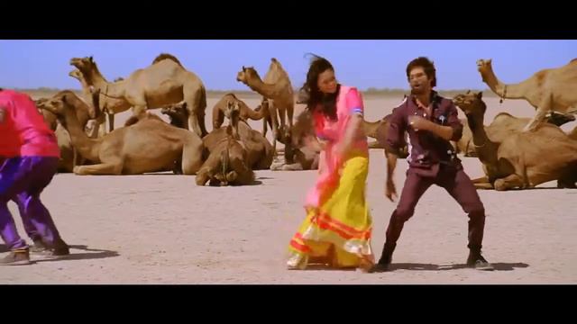 Saree Ke Fall Sa   R   Rajkumar Full Song Bluray Download