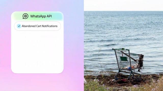 WhatsApp Business Vs WhatsApp API: Key Differences