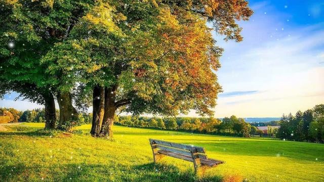 Очарование осени! Необыкновенная красивая Романтическая осенняя музыка Любви!Лучшая для души!Relax смотреть онлайн