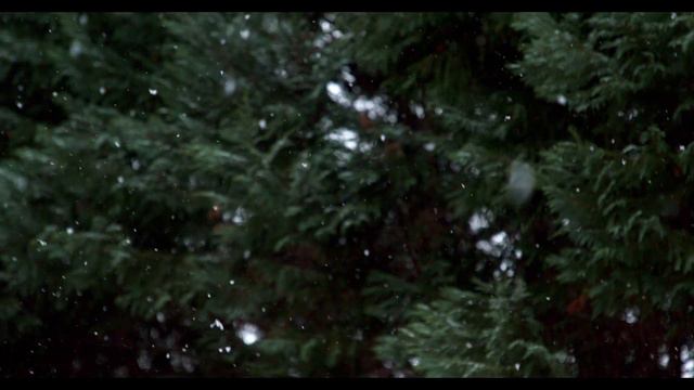 1 HOUR 🎄 CHRISTMAS MUSIC 2023 CHRISTMAS BACKGROUND