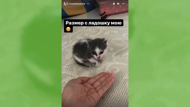 Кто новый актер в сериале Леди Дианы? Парень в балаклаве - Тимур, Закат или новенький? смотреть онлайн