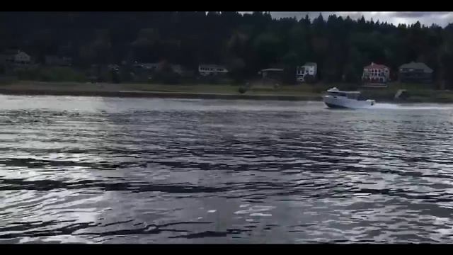 North River 3100SXL смотреть онлайн