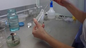 Посадка растений на среду (на базе агара)